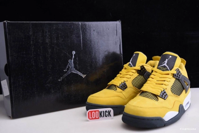 Air Jordan CT8527-700 Lightning Retro 4 1005